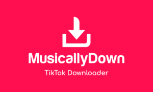 Ini Dia MusicallyDown, Solusi Mudah untuk Unduh MP3 dari TikTok, Capcut, dan IG